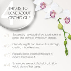 Flacon REDAVID Orchid Oil Dual Therapy prêt à nourrir et démêler.