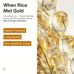 Ingrédients micro-nutriments riz-or énergie nourrissent la peau.
