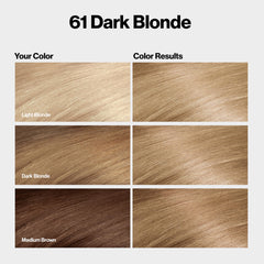 Pinceau et brosse ColorSilk pour une application nette et contrôlée.