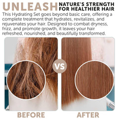 Rida Hair Research Institute: cuir chevelu nourri et confort durable
