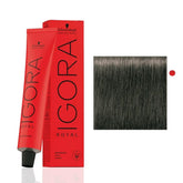 Schwarzkopf Igora Royal 6-1 blond foncé cendre – emballage et flacon, utilisation facile et précise.
