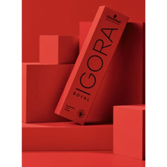 Schwarzkopf Igora Royal 6-1 blond foncé cendre – résultat-teinte avec éclat durable et harmonie naturelle.