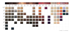 Schwarzkopf Igora Royal 7-65 préparation montrant le mélange pour une couleur uniforme.