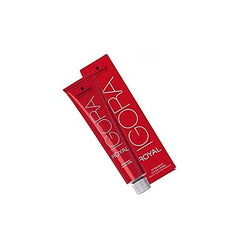 Application Igora Royal sur cheveux pour une couleur homogène