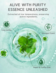 SEONNIX bombes-douche menthol-eucalyptus vapeur aromatique et détente sensorielle.