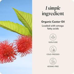 Sky Organics huile de castor – soin peau pour zones sujettes à l’acné
