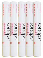 SoftLips stick pastèque protège les lèvres et hydrate grâce au SPF 20.