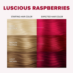 Poudre oxydante bleue Splat Luscious Raspberries pour décoloration efficace