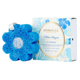 Spongellé éponge-douche-gingembre-blanc-hawaien : exfolie en douceur et revitalise la peau.