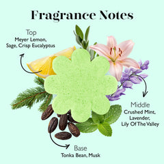 SPONGELLÉ Eucalyptus Mint Eco Buffer under water squeeze release rich lather