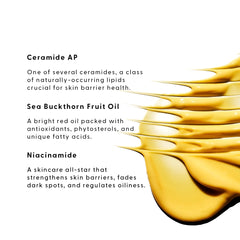 Stratia Lipid Gold – Absorption rapide sans fini gras.