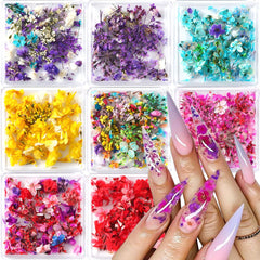 SUTOZMIWE: 8 boîtes de fleurs sèches pour décor d'ongles colorés.