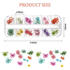 Teenitor fleurs seches pétales colorés pour motifs faciles sur ongles