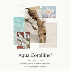 Texture riche de la crème Thymes Aqua Coralline, idéale pour une hydratation quotidienne.