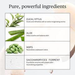 Ursa Major Hoppin' Fresh: arôme menthe-eucalyptus vivifiant.