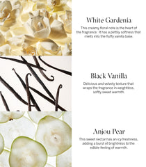 Notes olfactives Gardenia blanche et Poire d'Anjou dans Victoria's Secret Tease Lotion.