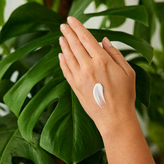 Texture légère de Weleda Crème Mains à la Grenade, absorption rapide