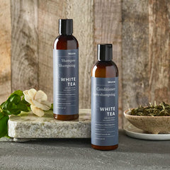Westin Après-Shampoing, bouteille-8oz: soin léger et douceur durable.