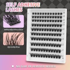 Clusters sans colle WONSIS, idéal pour débutants et routines express.