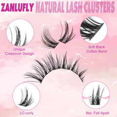 zanlufly cils-en-grappes regard-renard: allure affirmée
