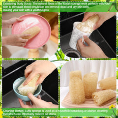 ZhouBoat Loofah naturel nettoyage vaisselle avec éponge