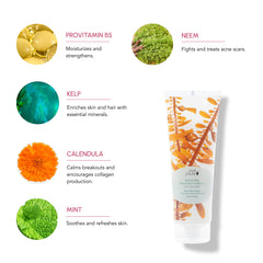 Application sur le cuir chevelu avec le Kelp & Mint, sensation rafraîchissante.