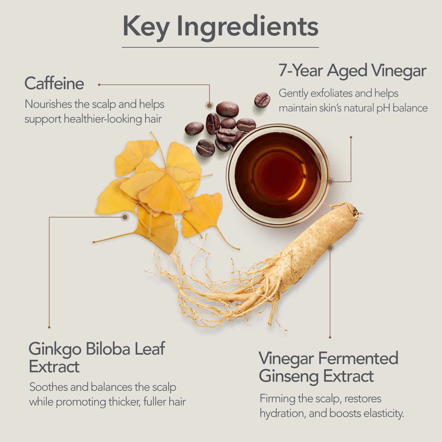 Probiotiques et nutriments hydratent le cuir chevelu avec le Shampoing 107