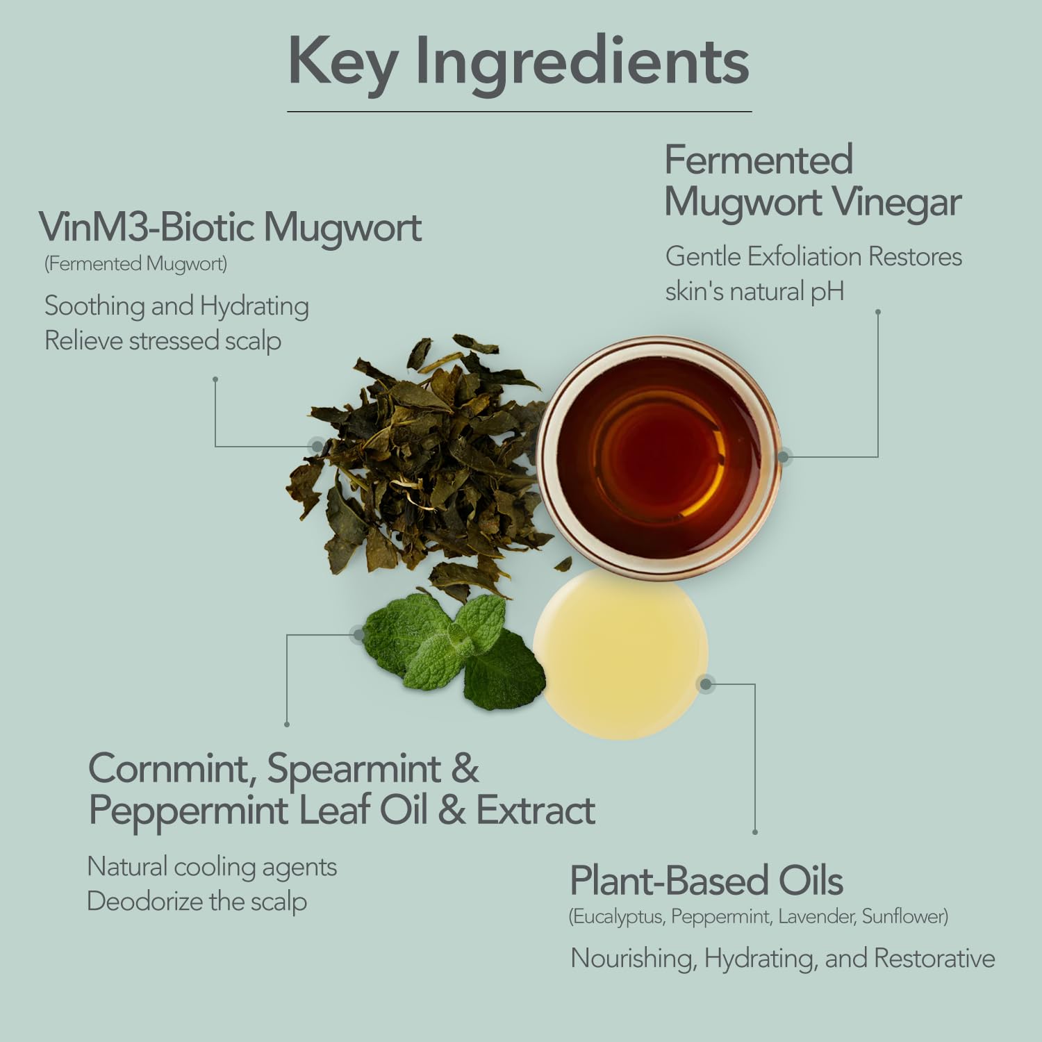107 Shampoing, vinaigre d'armoise fermenté: équilibre du cuir chevelu.