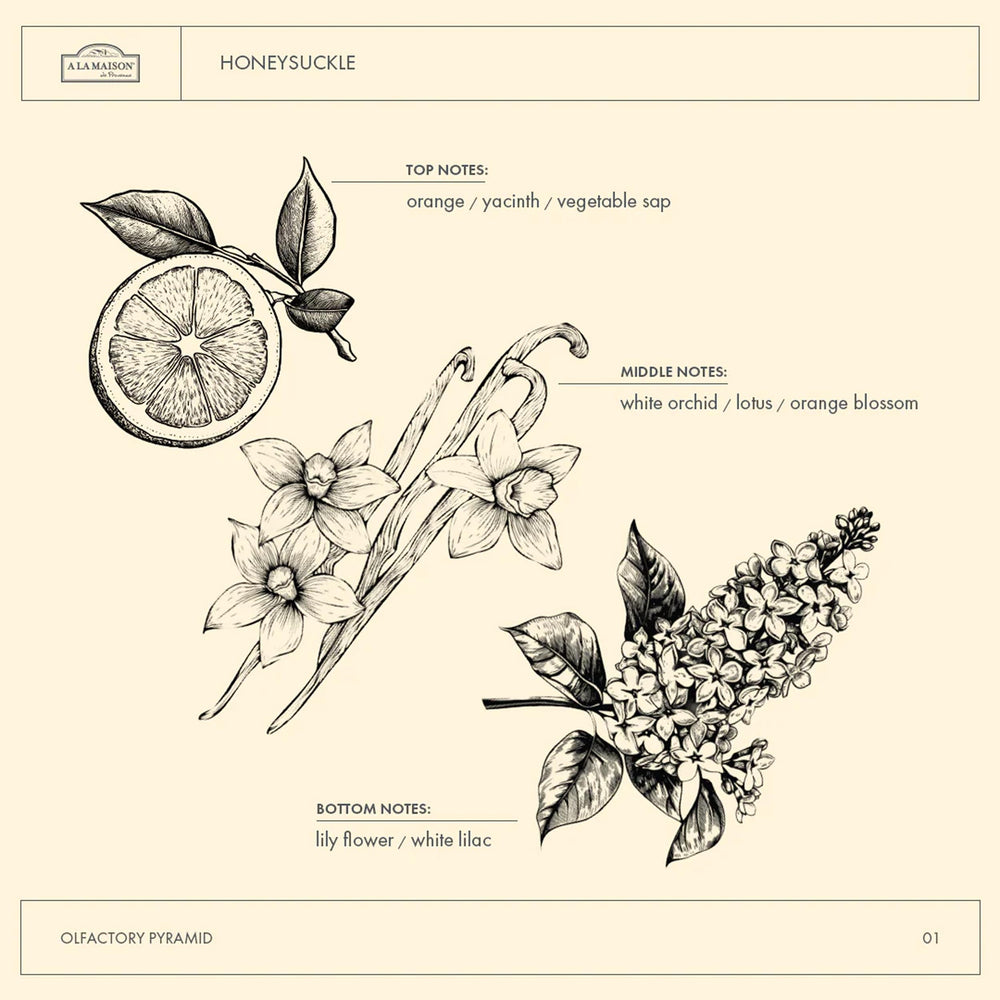 A LA MAISON Chevrefeuille savon liquide – emballage recyclable et eco-responsable.