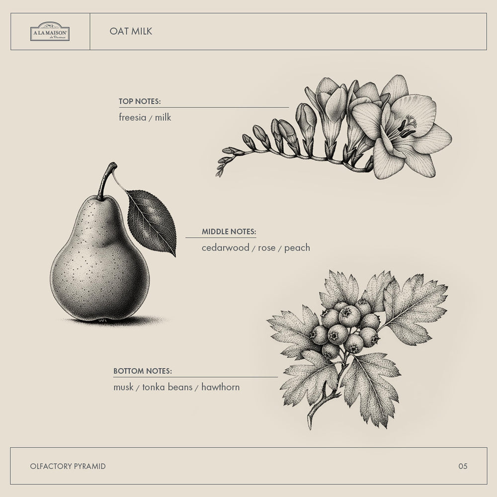 A LA MAISON Oat Milk Body Wash ingredients panel highlights oat milk.