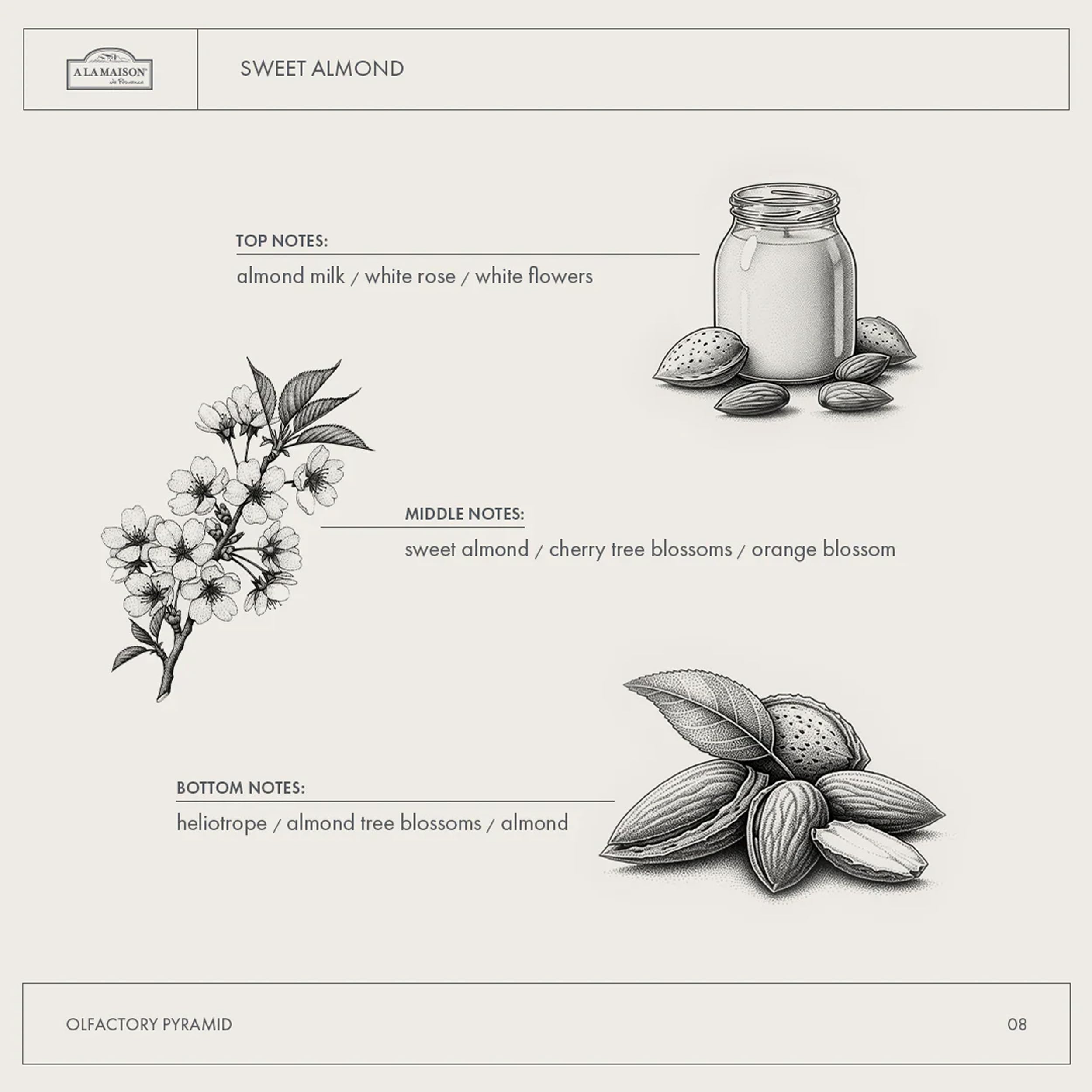 A LA MAISON – parfum doux d amande pour une expérience sensorielle agréable.