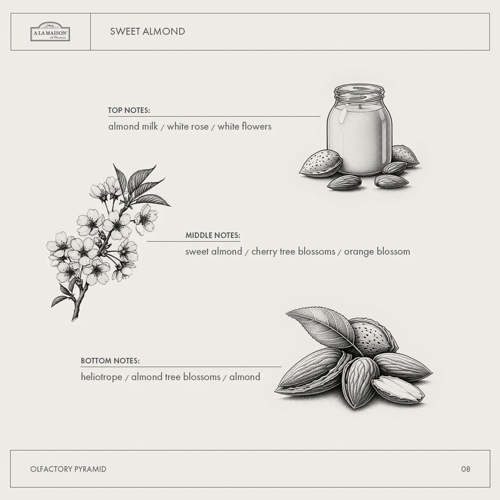 A LA MAISON – parfum doux d amande pour une expérience sensorielle agréable.