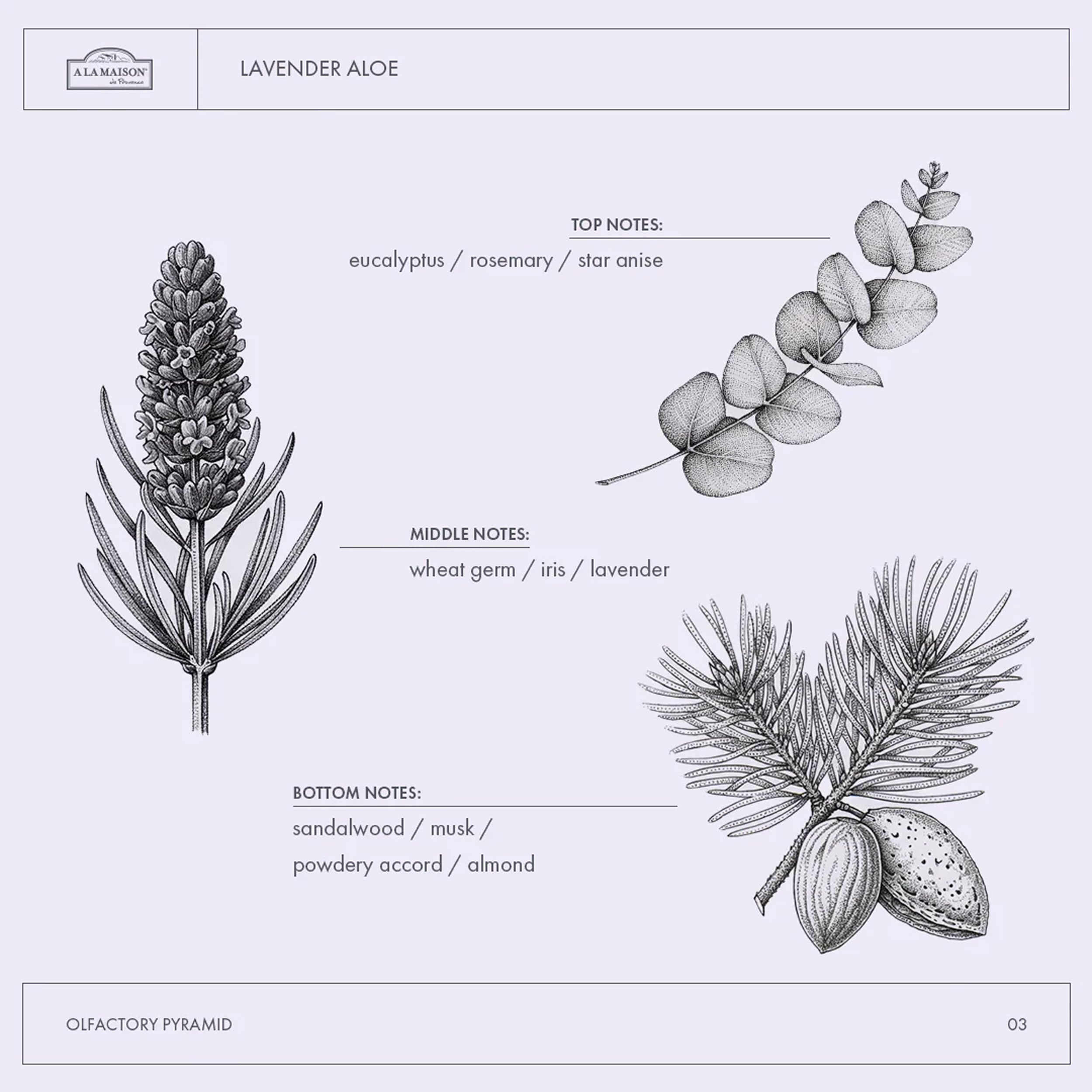 A LA MAISON Provence Lavande Aloe – emballage sans BPA et recyclable, choix écologique.