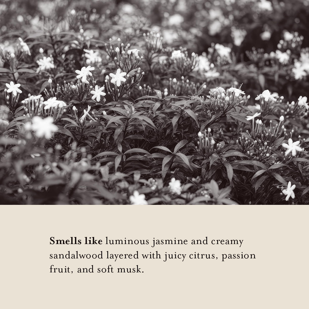 Senteur Jasmine & Santal : parfum lumineux et boisé d'A LA MAISON.