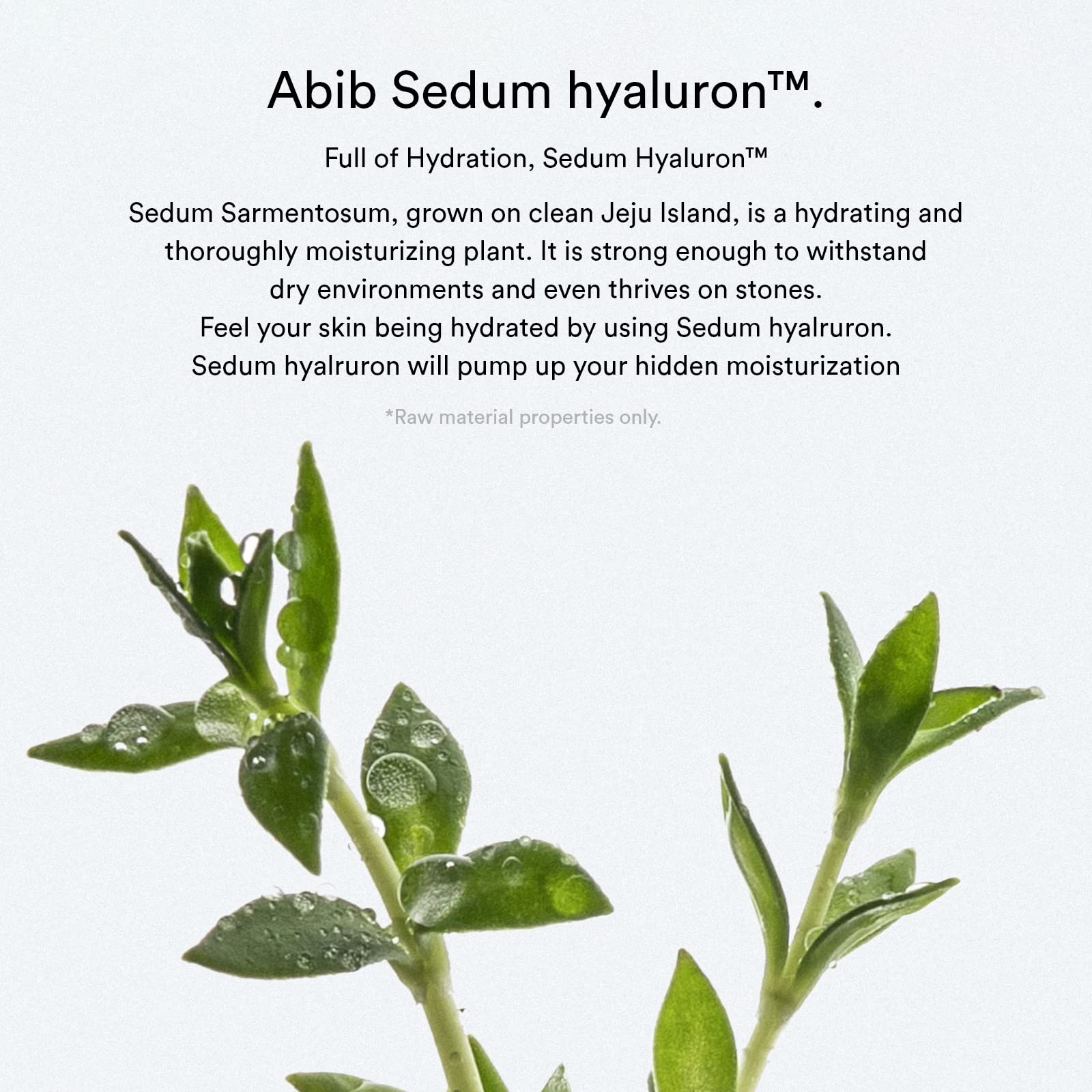 Abib Sedum Hyaluron Pad Hydrating Touch pad inside demonstrates the hydration core.