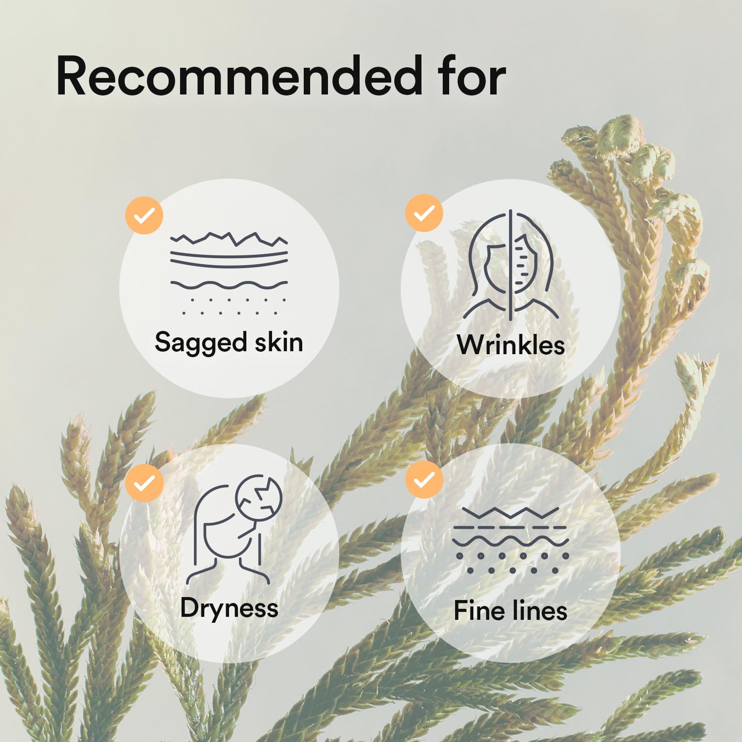 Masque Abib testé dermatologiquement par Dermacosmetic