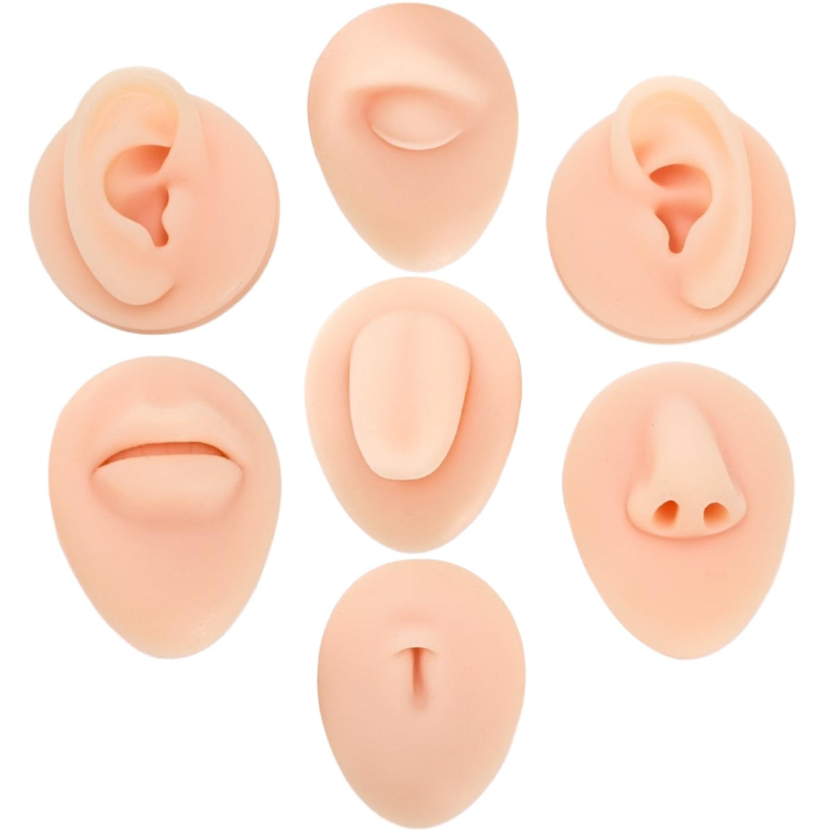 Modèles Acshio en silicone doux pour l'entraînement au piercing
