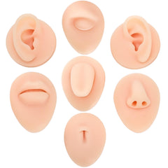 Modèles Acshio en silicone doux pour l'entraînement au piercing