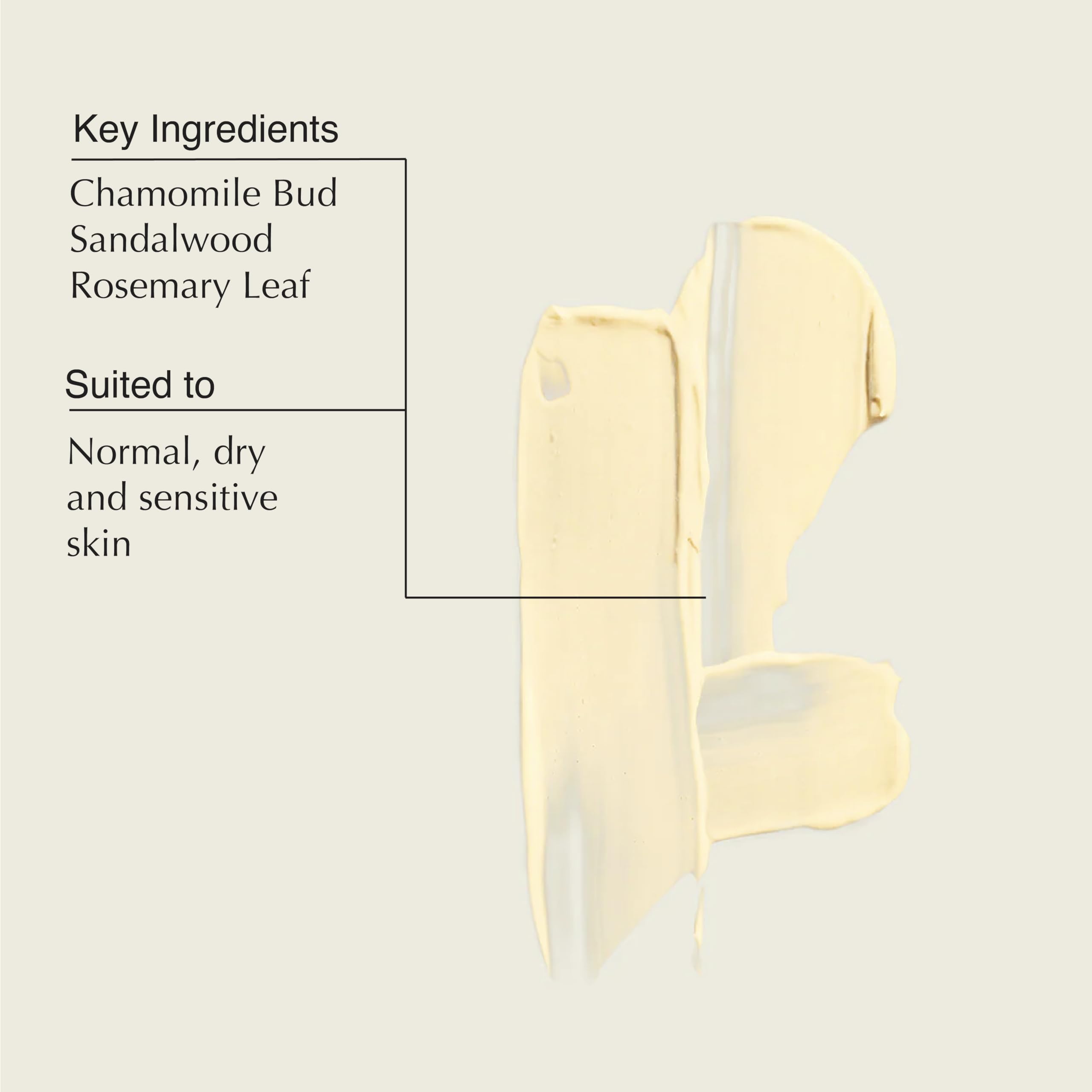 Aesop Crème Visage Camellia Nut — ingrédients clés camomille, santal, romarin