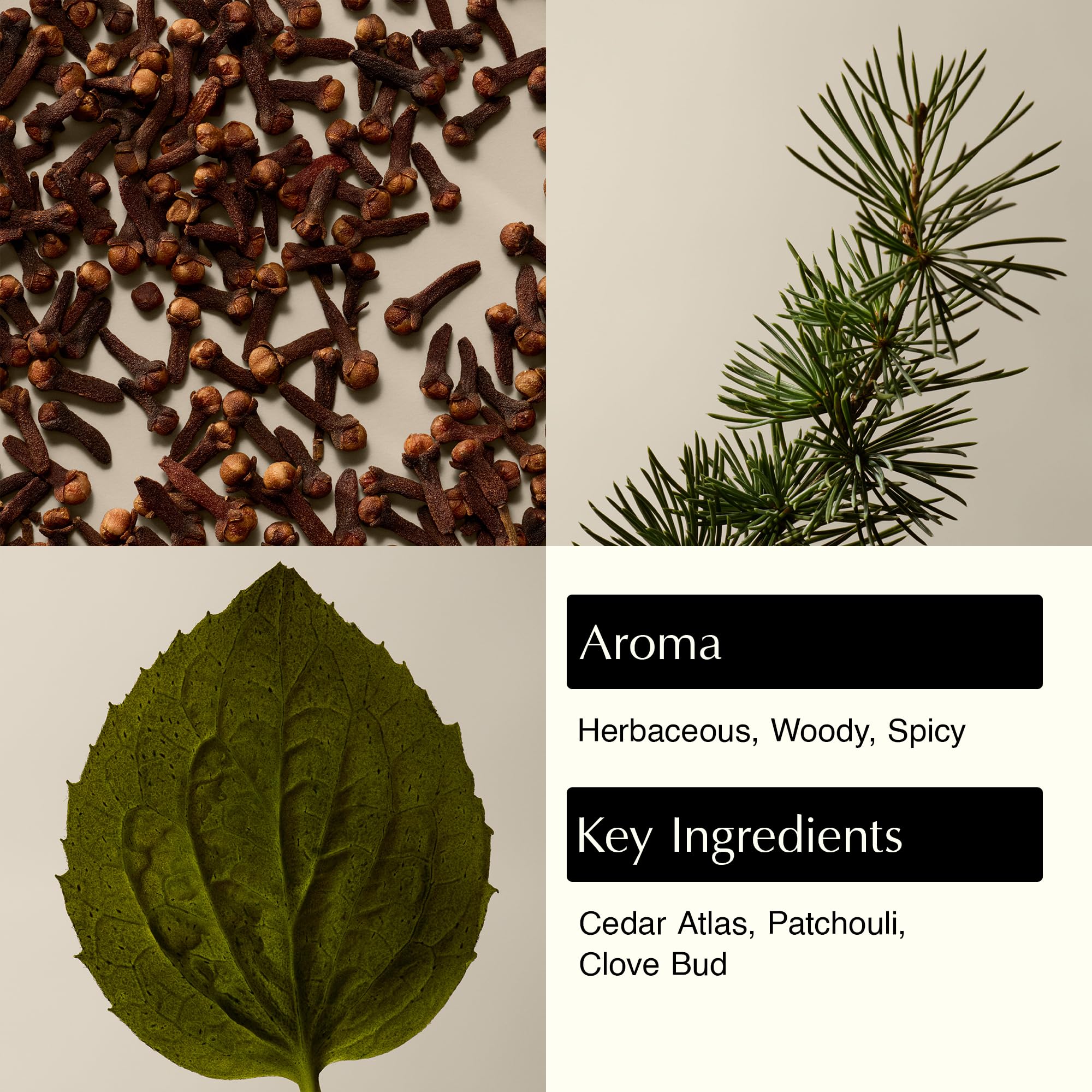 Aesop Eleos : texture crème lavante douce pour nettoyer sans agresser la peau.