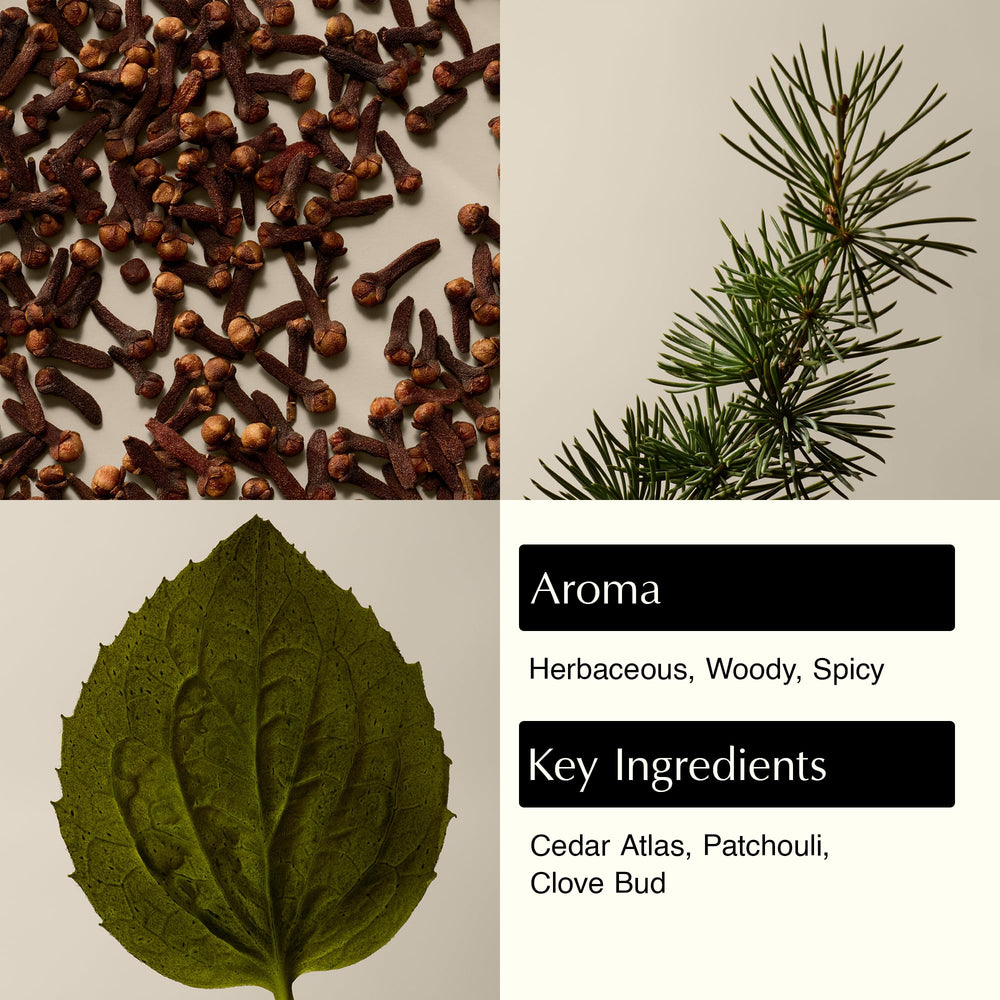 Aesop Eleos : texture crème lavante douce pour nettoyer sans agresser la peau.