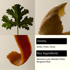 Aesop Geranium Leaf – détail du zeste d’agrumes pour une sensation vivifiante.