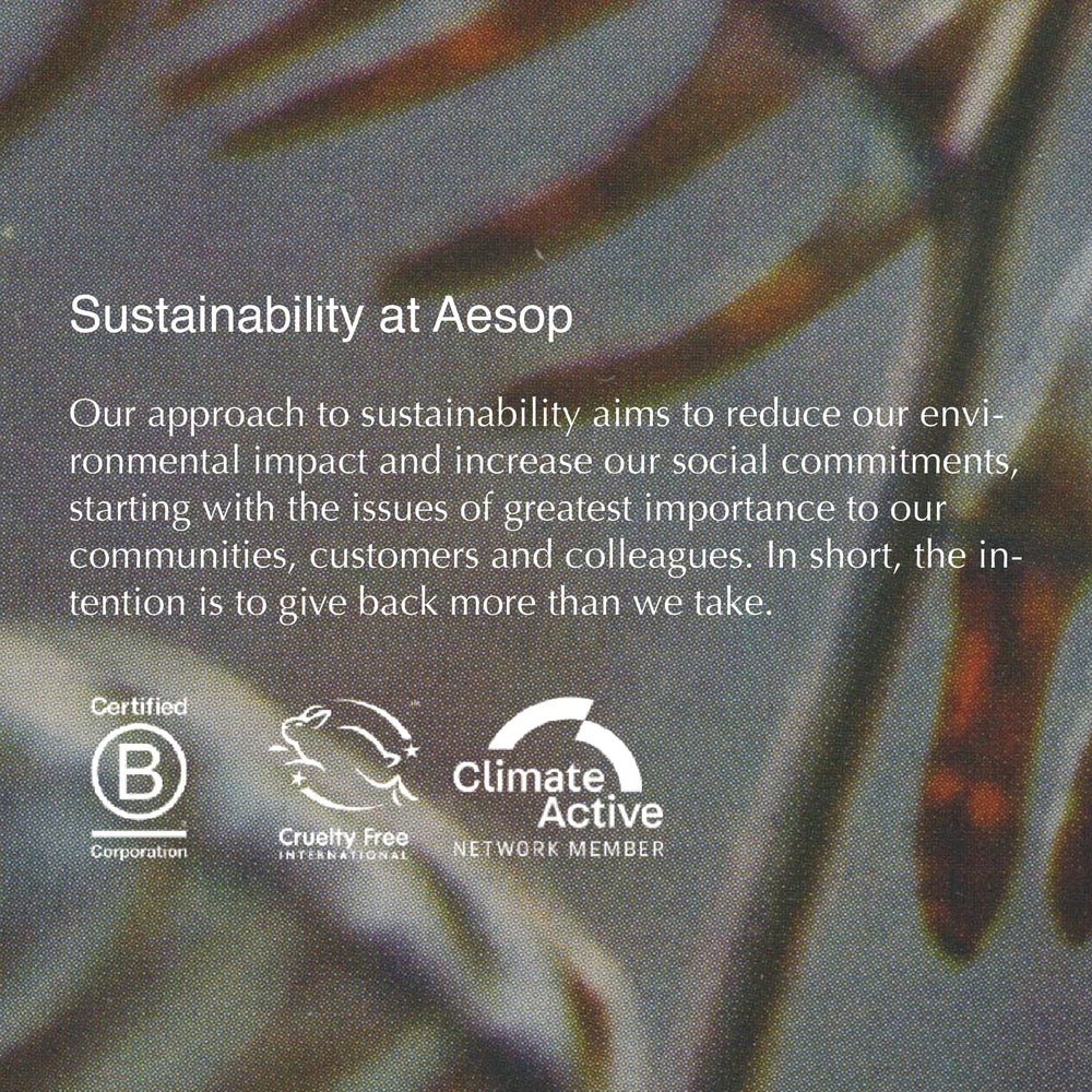 Aesop Parsley Seed Travel Cleanser, emballage pratique pour voyager et garder une peau nette