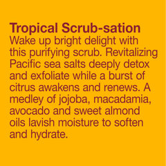 Gouttes d'huile jojoba Alba Botanica apportant hydratation lors du gommage.