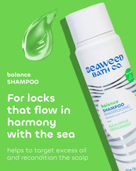 Shampoing équilibre Seaweed Bath Co, pompe, expérience rafraîchissante menthe-poivrée eucalyptus.