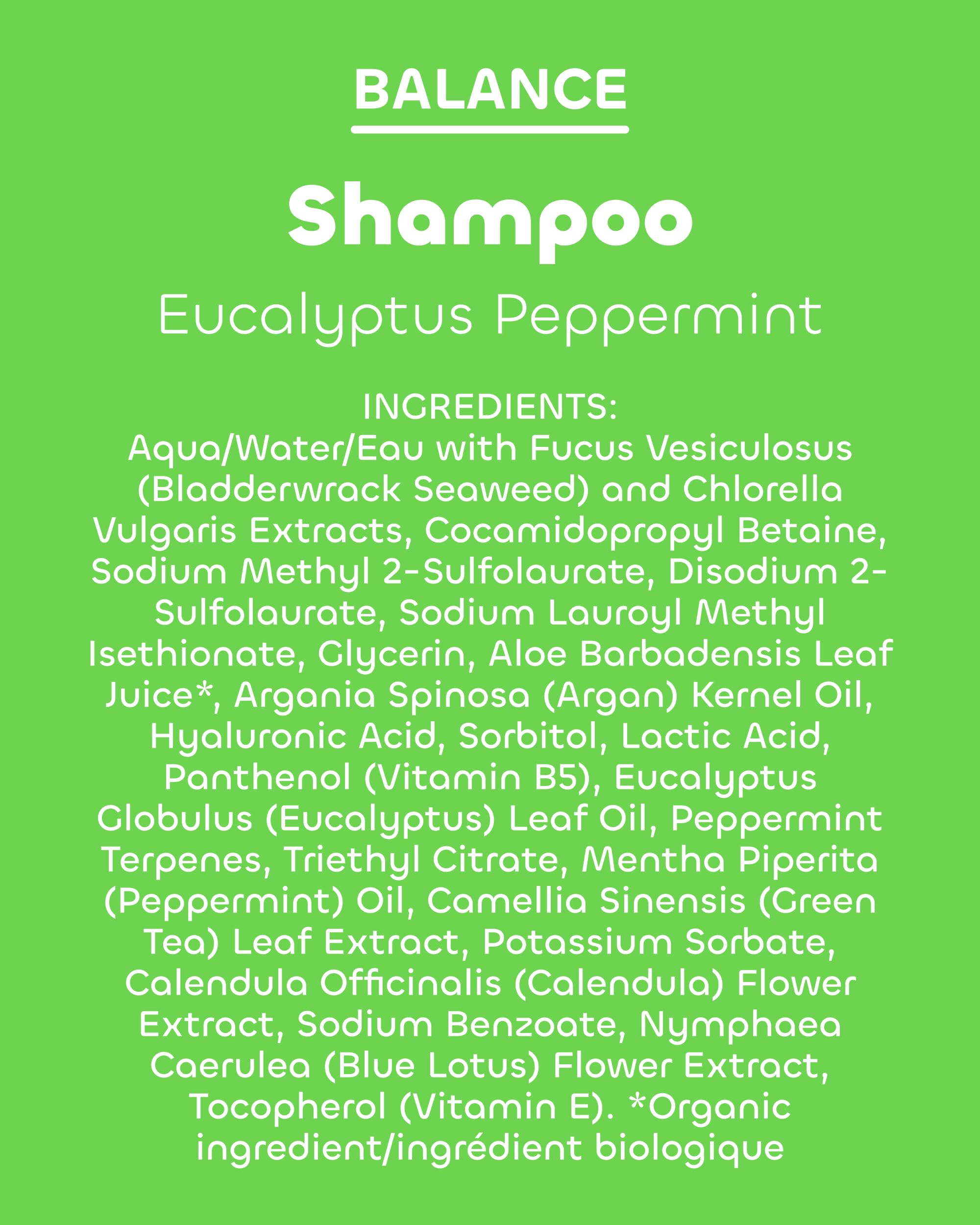 Application facile du Shampoing Équilibre Seaweed Bath Co pour tous types de cheveux.