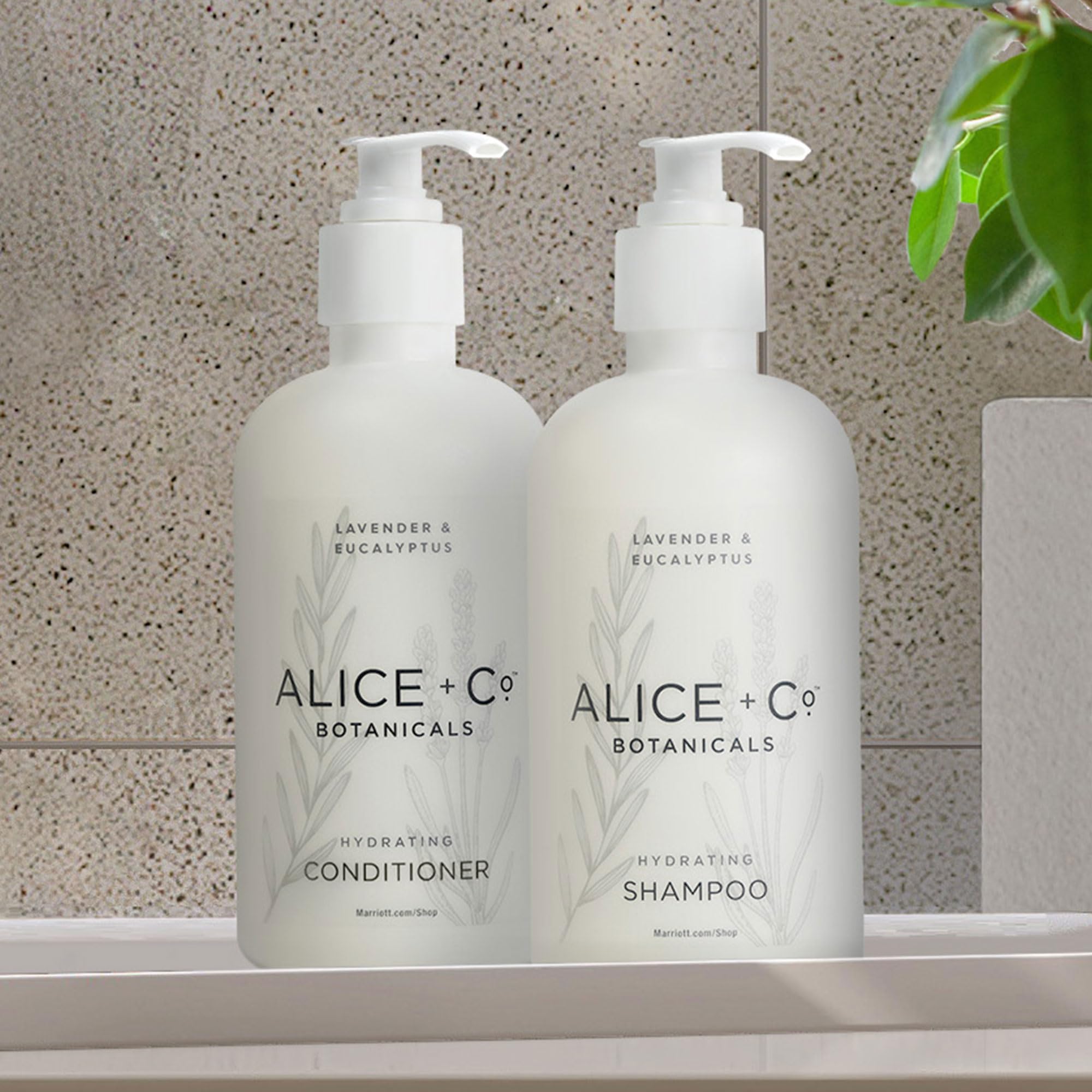 Alice + Co Shampoing Lavande Eucalyptus, versement précis pour une utilisation contrôlée.