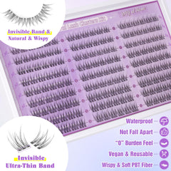 Texture plume naturelle des clusters ALICE pour un regard fluide