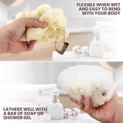ALMOONI Loofah égyptienne – matériau naturel offrant hydratation et douceur.