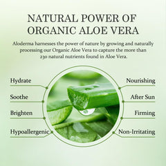 Aloderma ingredients-botanique soutiennent une peau lumineuse et saine.